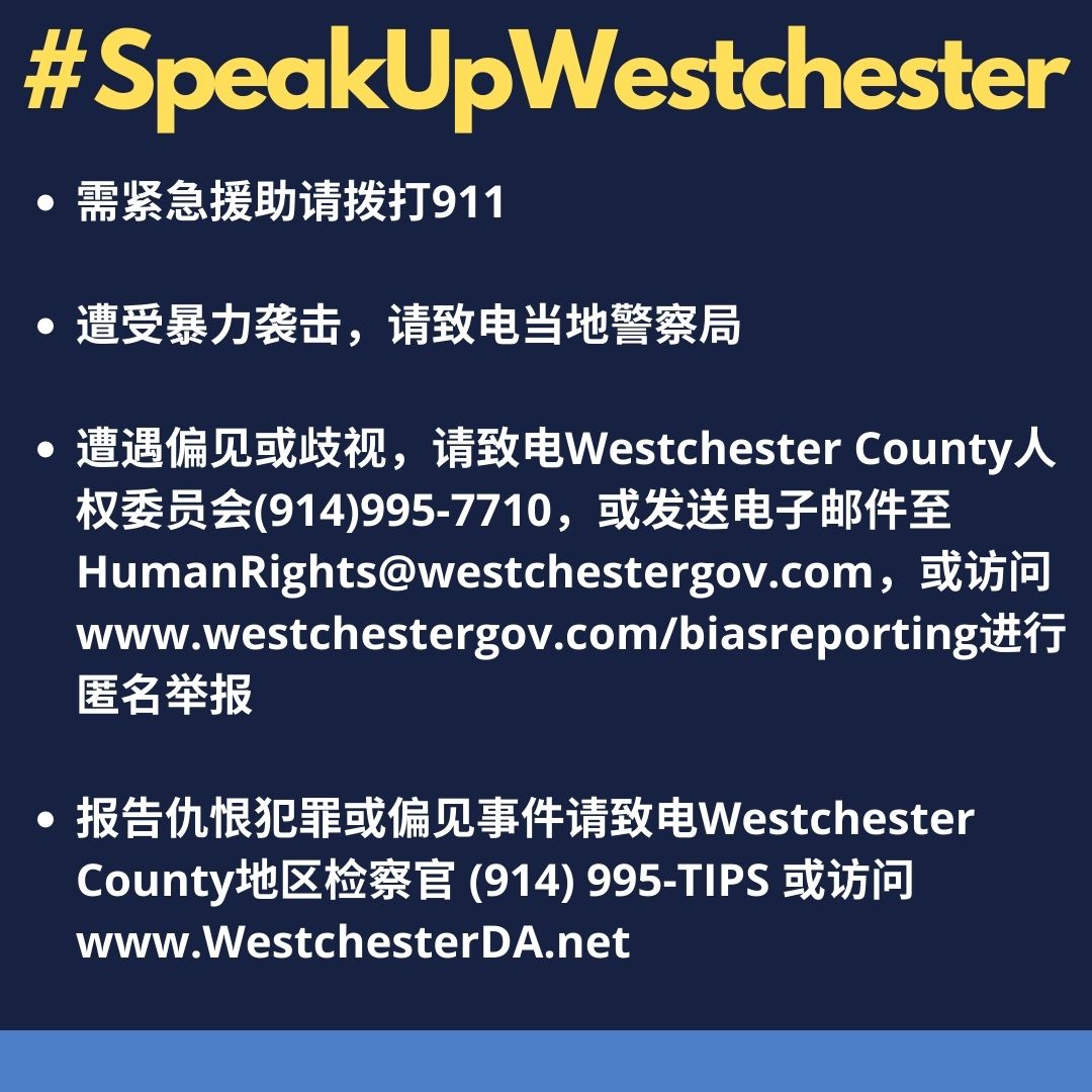 SpeakUpWestchester_Mandarin.jpg